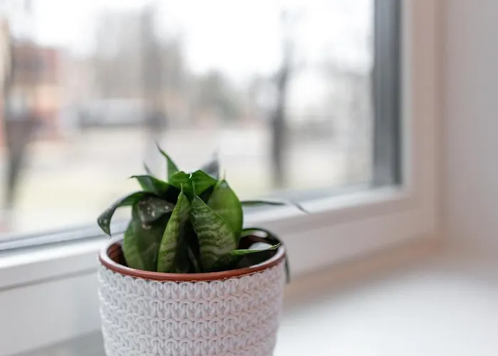 Pepleri 29 Apartment